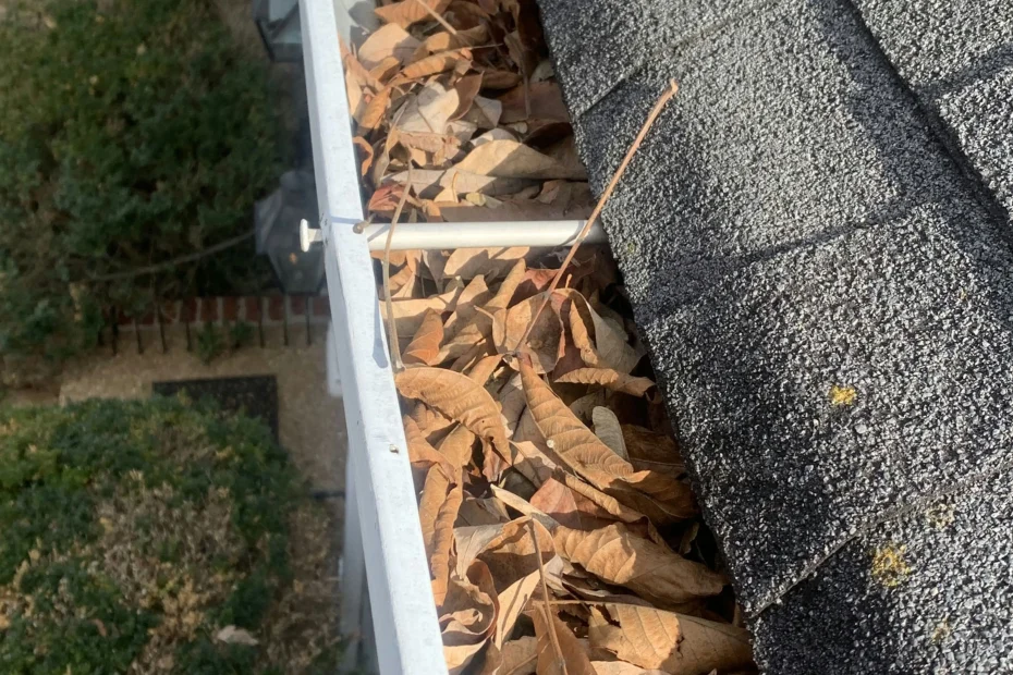 Gutter Cleaning Fenton